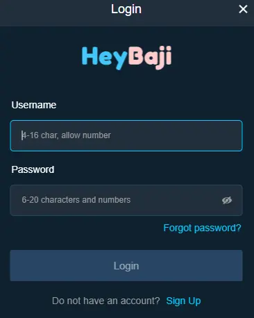 Login Process